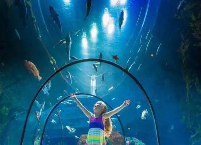 سفری انفرادی در کانادا: راهنمای سفر تنهایی به سرزمین عجایب شمالی سفری انفرادی در کانادا: راهنمای سفر تنهایی به سرزمین عجایب شمالی