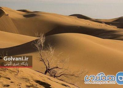 کویرهای ایران را بشناسید و به قلب طبیعت سفر کنید کویرهای ایران را بشناسید و به قلب طبیعت سفر کنید
