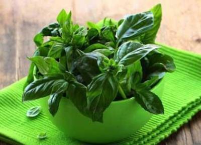 فواید اعجاب انگیز گیاهانی در آشپزخانه که به آن بی توجهید فواید اعجاب انگیز گیاهانی در آشپزخانه که به آن بی توجهید